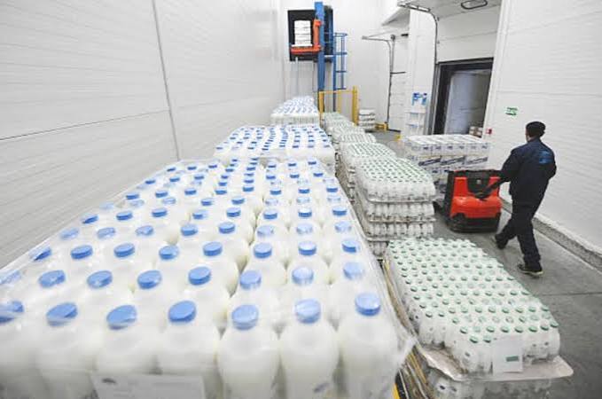 Commercial cold chain ice cream & dairy product distribution depot 1600sq ft