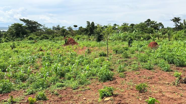50 Decimal scenic waterfront agro farm & eco resort land
