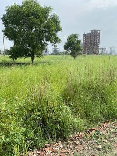 Land Sell 4 lakh Taka Sotangsho Dhaka Garden City