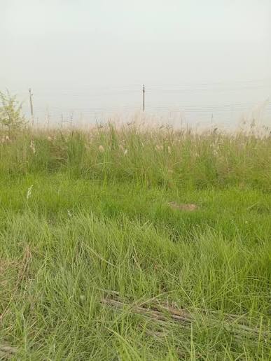Land Plot Sell Uttara Diabari Dhaka