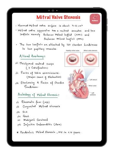 Medical anatomy lecture notes