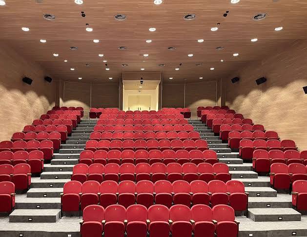 Acoustic Wall Paneling for Auditoriums & Home Theaters