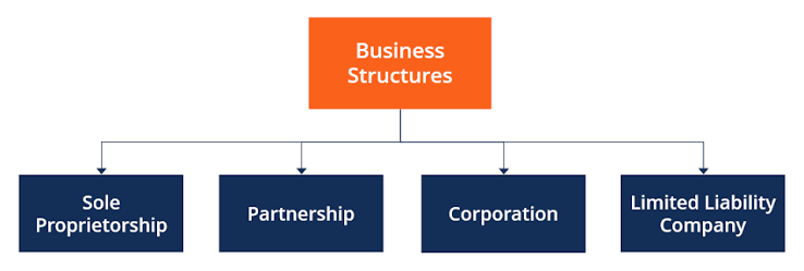 Expert Joint Venture Structuring  Business Services COMPANY FORMATION
