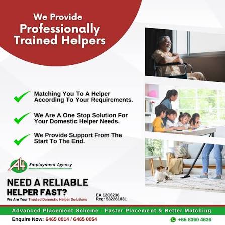 Advanced Domestic Help Placement