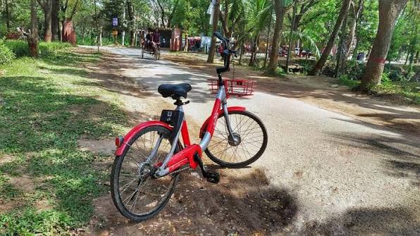 Corporate Weekend Mountain Bike Rental