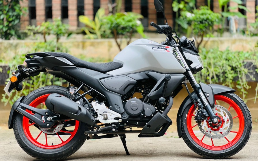 FZS V4