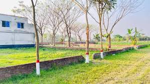 Well-Maintained 5 Katha Residential Plot in Savar