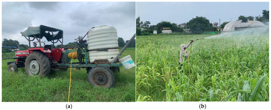 Agricultural Drone Spraying Service