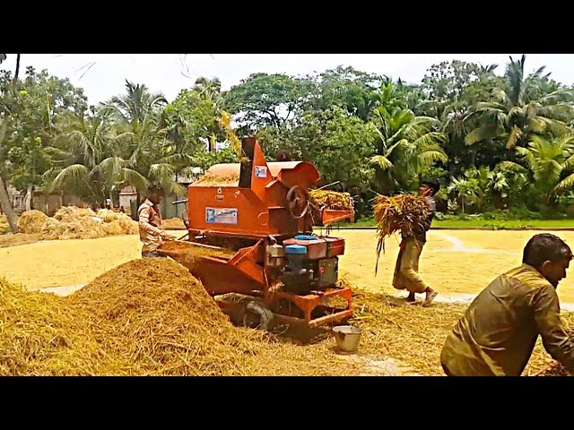 Mobile Grain Thresher Operation Service