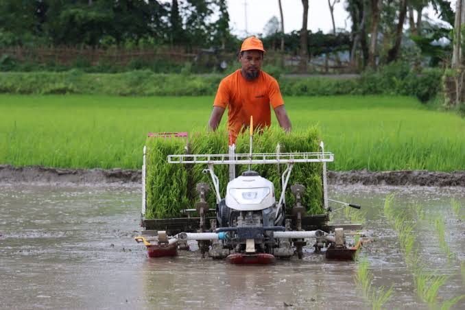 Paddy Seedling Machine Nursery Prep