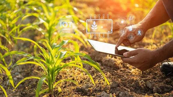 Agro Soil Testing & Nutrient Advisory