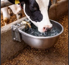 Automatic Cast Iron Cattle Drinking Water Bowl